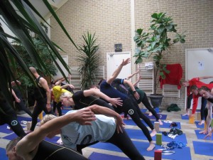 Buffeldag 2013